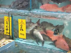 -有腥气私房菜·寻味顺德