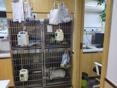 -宠颐生宠物医院·心肾内科·猫专科诊疗中心宠巢店
