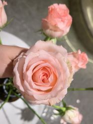 -MIDA蜜哒•科技逆龄美肤连锁