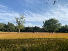 -北坞公园