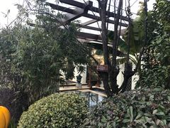 -苏州湾王焰温泉度假酒店