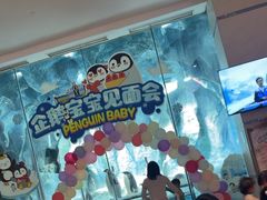 -帝企鹅自助餐厅•儿童岛•真企鹅(长隆企鹅酒店)