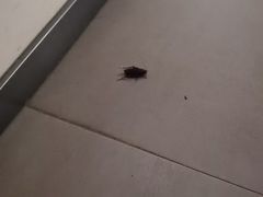 -前小桔亲子创意农场·草莓采摘·露营烧烤