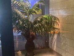 -涟LIAN·泰式按摩·MASSAGE·SPA(华强北店)