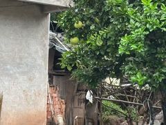 -中国天府农业博览园