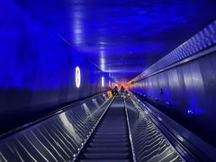 -白鹤梁水下博物馆