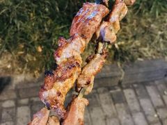 -新疆阿力烧烤