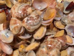 -浩运·海鲜青岛菜·海胆水饺(石老人店)