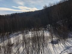 -亚布力新体委滑雪场