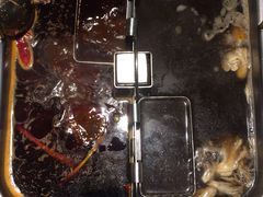 -海底捞火锅(金光华店)