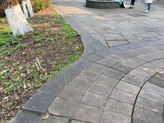 -张坝桂圆林公园
