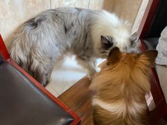 -小乡小镇·传承桐庐土菜·老板亲自烧的菜