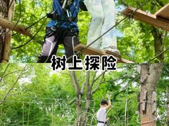 -上海山野camping·户外天幕烧烤·团建拓展营地