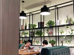 -三猫黑鱼花(南大店)