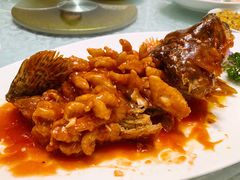 松鼠桂鱼-新聚丰菜馆(太监弄店)
