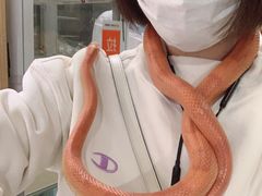 -藦茜花园宠物主题亲子互动体验馆(国顺东路店)