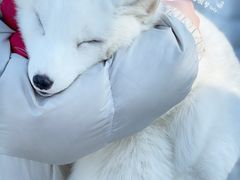 -人民防洪胜利纪念塔