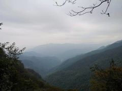 -牛背梁国家森林公园