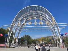 -大青山野生动物园