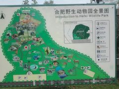 -合肥野生动物园