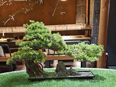 -湊湊火锅·茶憩(石家庄万象城店)
