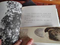 -陶享时光西餐·下午茶·竹林花园(新城店)
