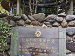 -张家港金凤凰度假村温泉