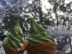 -豆政(金閣寺境内売店)