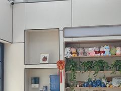 -凯瑞希宠物医院·狂犬免疫·微创·皮肤科