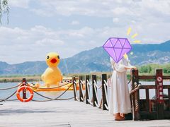 -野鸭湖国家湿地公园