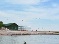 -南大港湿地风景区