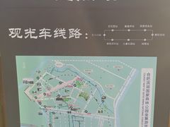 -合肥滨湖国家森林公园