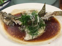 清蒸桂鱼-稻香酒家·33年老字号·港式粤菜(富邦中心店)