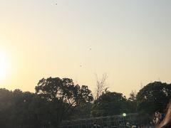 -上海滨江森林公园