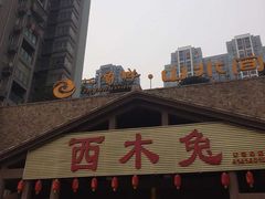-西木兔(大圆祥店)