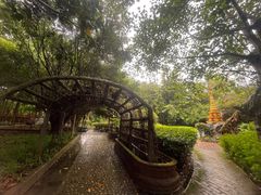 -瑞丽独树成林风景区