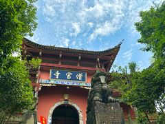 -铁山坪森林公园