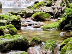 -牛背梁国家森林公园