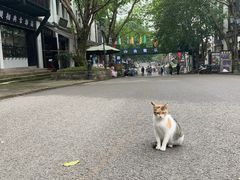 -两江国际影视城