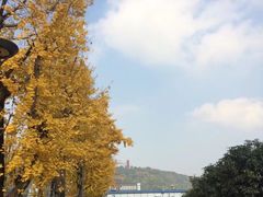 -百林公园-两江幸福广场