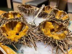 活海胆-万岛日本料理铁板烧(太古里店)
