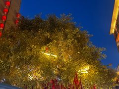 -沙州食驿·非遗小吃夜市