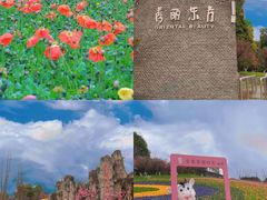 -秀丽东方