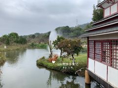 -丹樱生态园