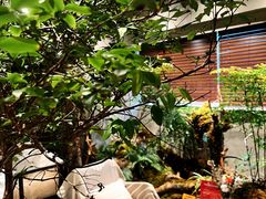 -森SPA·泰式按摩·精油Massage(宝安中心店)