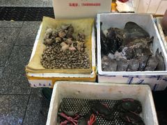 -华威西营里农产品批发市场