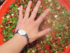 -新繁老號豌豆汤饭店·江湖菜(宝光寺店)