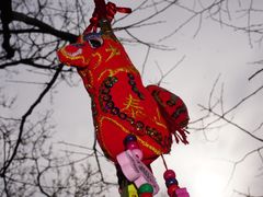 -泰山风景名胜区