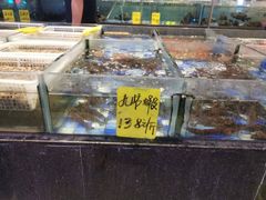 -老伙记海鲜码头(北滘店)