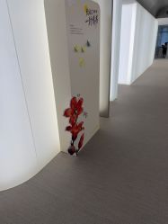 -BR光电保养
